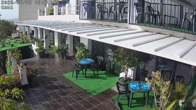 Homestay Pinar